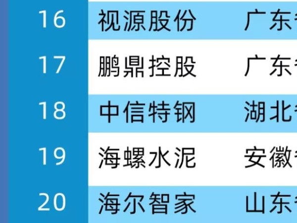 2020年中國製造業價值500強，MAXHUB母公司視源股份位居第16位